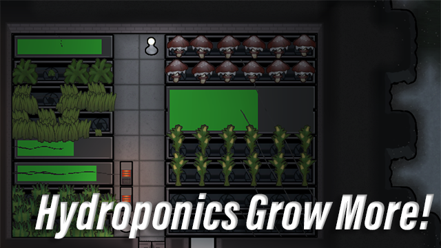 Hydroponics Grow More